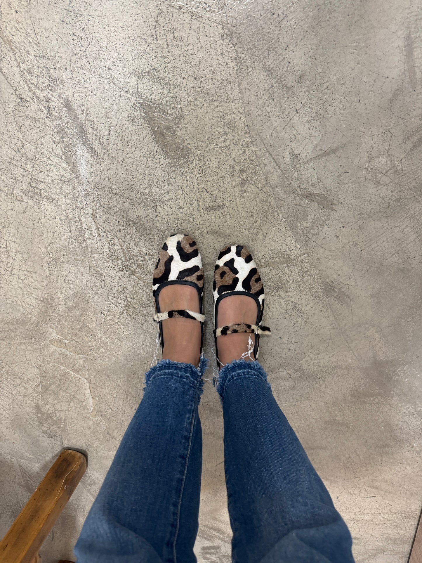 Animal print vol2
