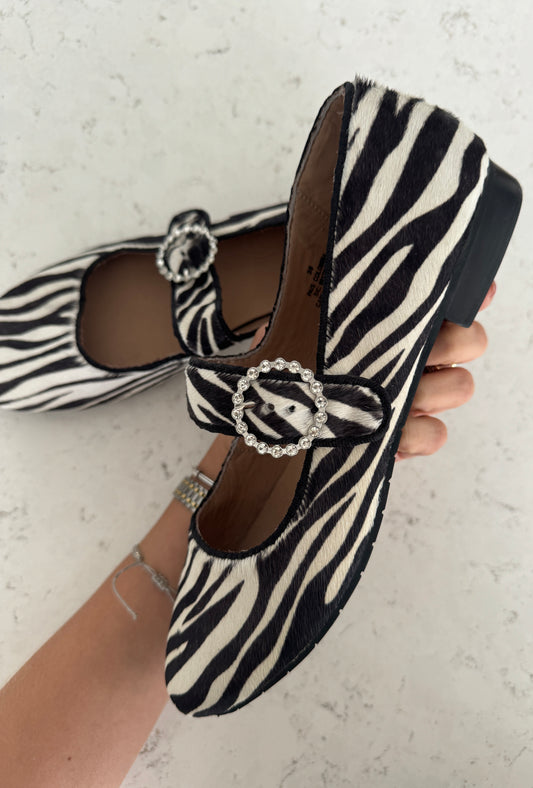 zebra flats
